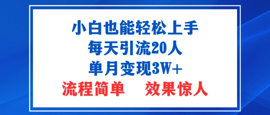 小白也能轻松上手的宝妈项目，每天引流20人，单月变现3W+，流程简单，效果惊人-离锋创库