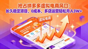 抢占拼多多虚拟电商风口：长久稳定项目，0成本，多店运营轻松月入3W+-离锋创库