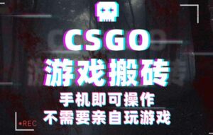 CSGO游戏挂机捡漏,单日扫货500+,年底小高峰上车可吃肉,手机即可操作…-离锋创库