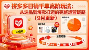 拼多多日销千单高阶玩法:从选品到爆款打造的完整运营链路(9月更新-离锋创库