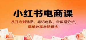 小红书电商课：从开店到选品、笔记创作，含数据分析，爆单分享与新玩法-离锋创库