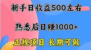 新手日收益500+ 正规项目 长期可做-离锋创库