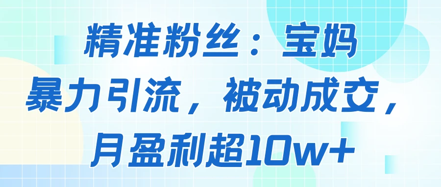 精准粉丝：宝妈暴力引流方法，被动成交，月盈利超10w+-离锋创库