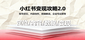 小红书变现攻略2.0:账号定位、内容创作,数据解读,企业号运营等-离锋创库