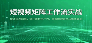 短视频矩阵工作流实战:快速培养网感,提升素材生产力,掌握爆款素材与脚本要点-离锋创库