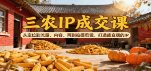 三农IP成交课:从定位到流量、内容,再到拍摄剪辑,打造能变现的IP-离锋创库