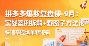 拼多多爆款复盘课-9月：实战案例拆解+野路子方法论，快速掌握爆单新逻辑-离锋创库