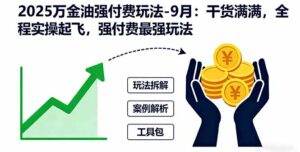 2025万金油强付费玩法-9月:干货满满,全程实操起飞,强付费最强玩法-离锋创库
