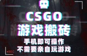 CSGO游戏挂G捡漏,单日扫货5张+,年底小高峰上车可吃肉,手机即可操作,兼职副业创业网创【揭秘】-离锋创库