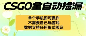 自动挂机捡漏,不用自己挂机不用玩游戏,一个手机即可操作。新手小白轻…-离锋创库