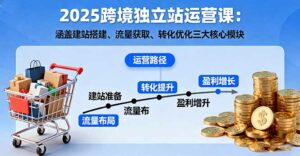 2025跨境独立站运营课:涵盖建站搭建、流量获取、转化优化三大核心模块-离锋创库