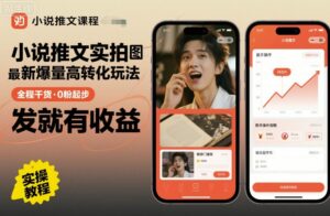 小说推文实拍双图文最新爆量高转化玩法,全程干货,0粉起步,发就有收益-离锋创库