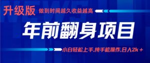 项目讲解年入百万:小白轻松上手,纯手机操作.日入2k+-离锋创库