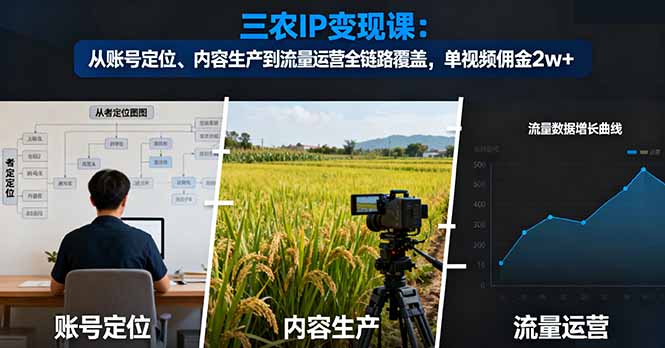 三农IP变现课：从账号定位、内容生产到流量运营全链路覆盖，单视频佣金2w+-离锋创库