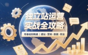 2025独立站运营实战全攻略-离锋创库