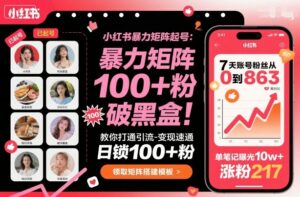 小红书暴力矩阵起号,教你打通引流-变现速通,日锁100+粉,破流量黑盒-离锋创库