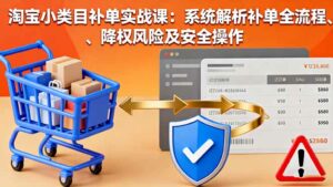 淘宝小类目补单实战课：系统解析补单全流程、降权风险及安全操作-离锋创库