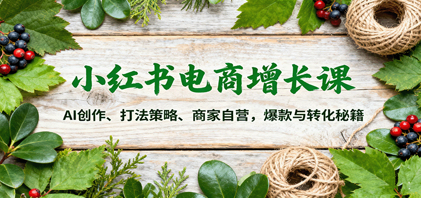 小红书电商增长课：AI创作、打法策略、商家自营，爆款与转化秘籍-离锋创库