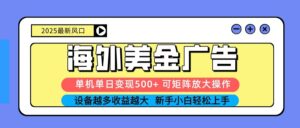 2025吃肉海外美金广告，单机单日变现500+，矩阵可无限放大，新手小白轻松上手-离锋创库