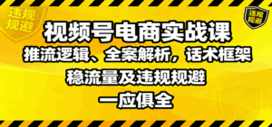 视频号电商实战课：推流逻辑、全案解析，话术框架，稳流量及违规规避等-离锋创库