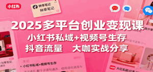 2025多平台创业变现课：小红书私域+视频号生存+抖音流量，大咖实战分享-离锋创库