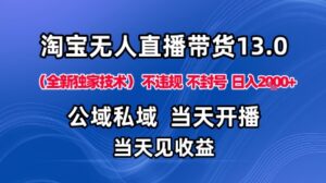 淘宝无人直播13.0，公域私域技术，不封号，不违规布局下半年旺季赛道，日入1K+(独家技术)【揭秘】-离锋创库