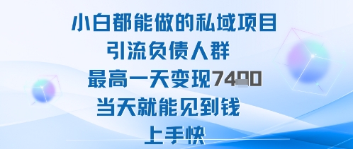2025年小白都能做的私域项目引流负债人群最高一天变现1k+高变现难度低当天就能见到钱上手快-离锋创库