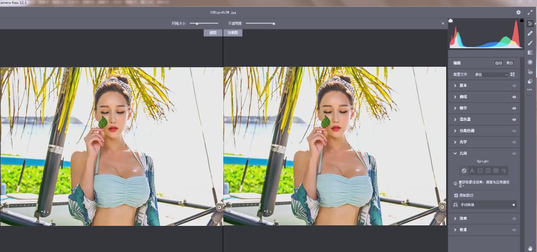 Adobe Camera Raw(RAW处理工具)v18.0.0中文版-离锋创库