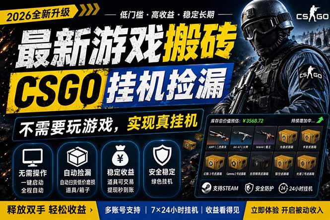 （18182期）最新游戏搬砖，CSGO纯挂机，不需要玩游戏，实现真挂机，月入1W+，五一小高峰上车可吃肉，…-离锋创库