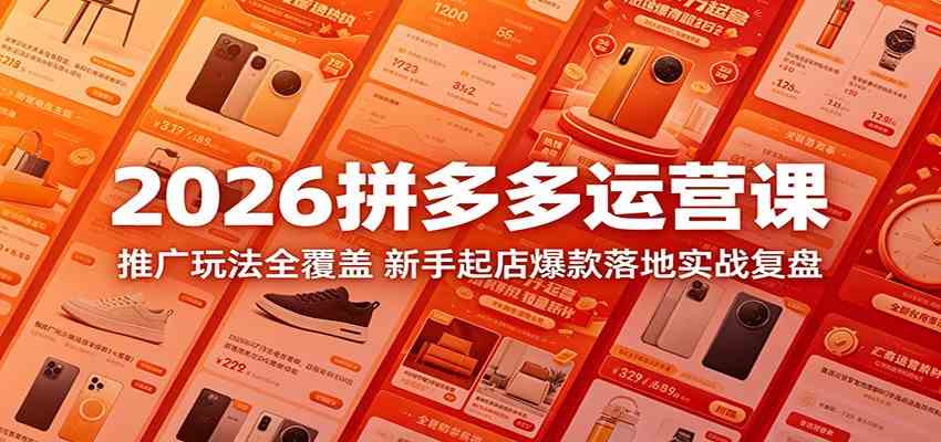 2026拼多多运营课：推广玩法全覆盖，新手起店爆款落地实战复盘-离锋创库