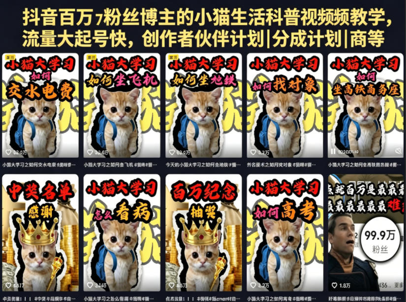 抖音百万粉丝博主小猫生活科普视频教学:零基础剪辑入门,快速起号变现副业-离锋创库