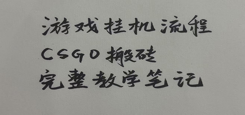 游戏挂机全流程笔记分享，CSGO游戏搬砖，小白看了当天学会见收益-离锋创库