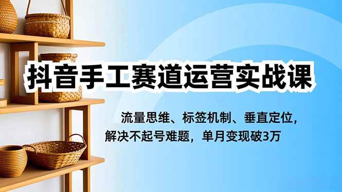 （16667期）抖音手工赛道运营实战课，流量思维、标签机制、垂直定位，解决不起号难题，单月变现破3万-离锋创库