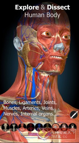Anatomy Learning 3D解剖学v3.1.499高级版-离锋创库