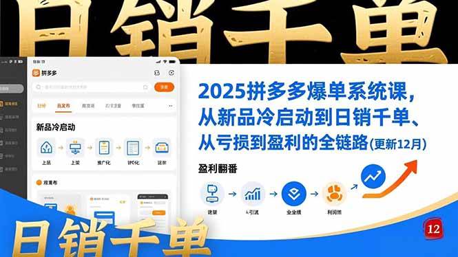 （16894期）2025拼多多爆单系统课，从新品冷启动到日销千单、从亏损到盈利的全链路（更新12月）-离锋创库