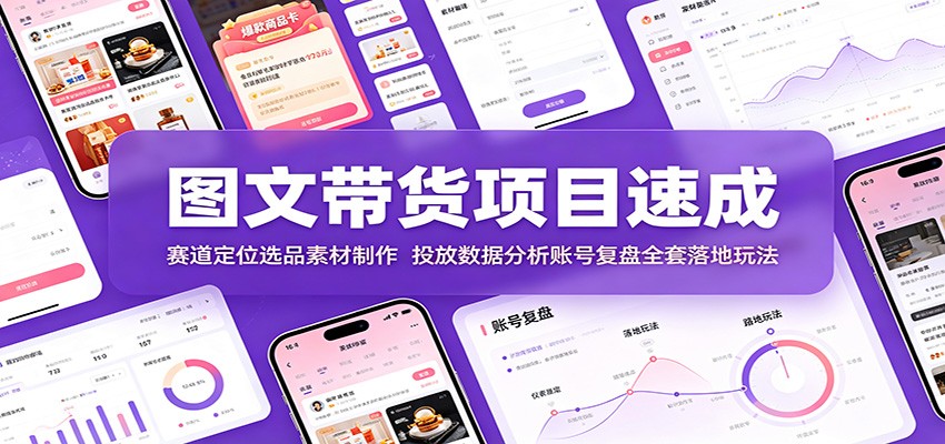 图文带货项目速成:赛道定位选品素材制作,投放数据分析账号复盘全套落地玩法-离锋创库