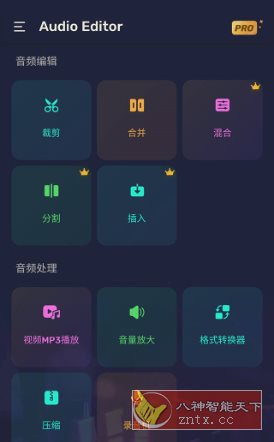 Audio Editor Pro Pro音频编辑器v2.01.20.1024专业版-离锋创库