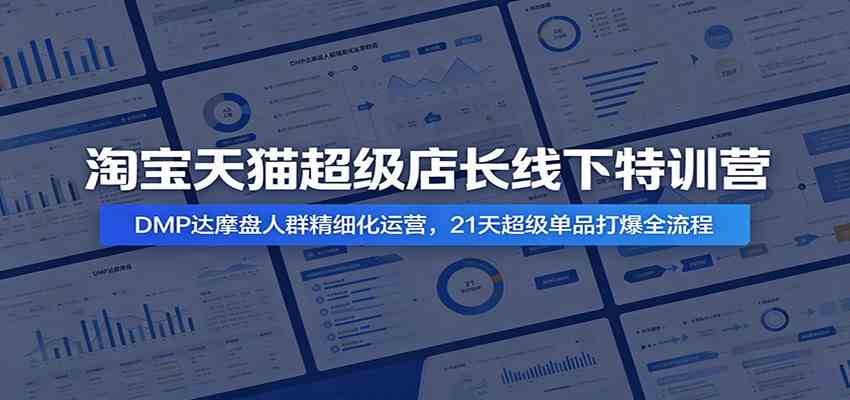 淘宝天猫超级店长线下特训营：DMP达摩盘人群精细化运营，21天超级单品打爆全流程-离锋创库