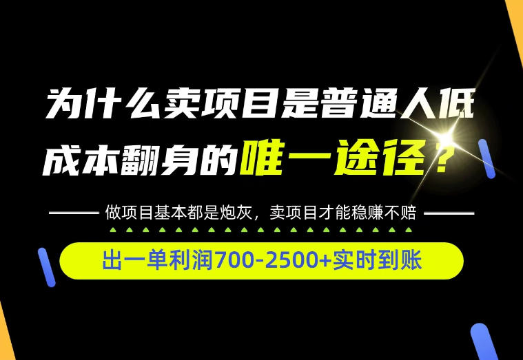 普通人如何靠互联网賺取自己的第一桶金!全类目实操型教学,看完你全都懂了!【揭秘】-离锋创库