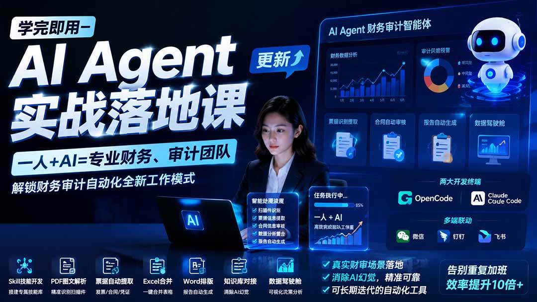 （20625期）【无水印】学完 即用-AI Agent实操落地课-更新0924：一人 + AI=专业财务、审计团队，解锁财务审计自动化全新工作模式-离锋创库