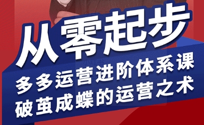 拼多多运营进阶系统课，从零起步，多多运营进阶体系课，破茧成蝶的运营之术（更新26年4月）-离锋创库