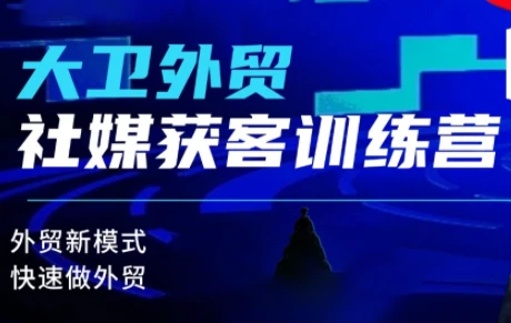 【精】大卫老师·外贸社媒获客独家训练营(更新2月)-离锋创库