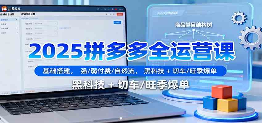 2025拼多多全运营课:基础搭建,强/弱付费/自然流,黑科技 + 切车/旺季爆单-离锋创库