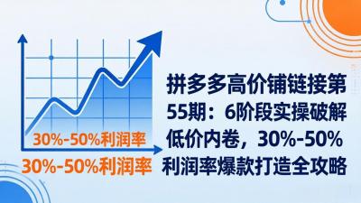 【精】拼多多高价铺链接第55期：6阶段实操破解低价内卷，30%-50%利润率爆款打造全攻略-离锋创库