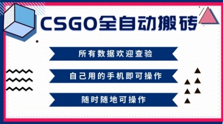 CSGO全自动搬砖,年底钱回家好项目,当天可拿到结果,新手小白轻松月入1W+【揭秘】-离锋创库