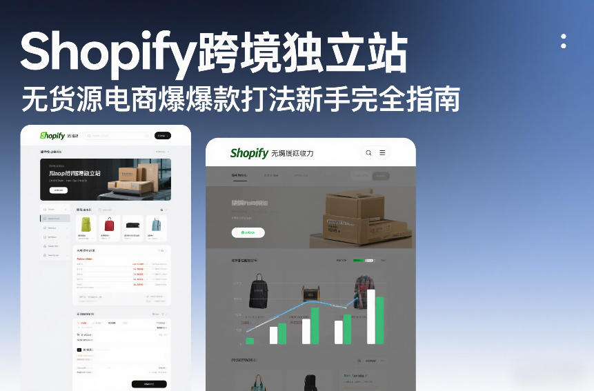 Shopify跨境独立站无货源电商爆款打法新手完全指南-离锋创库