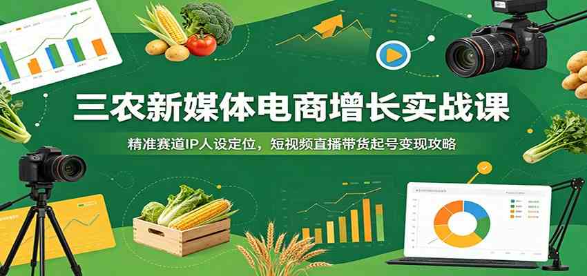三农新媒体电商增长实战课：精准赛道IP人设定位，短视频直播带货起号变现攻略-离锋创库