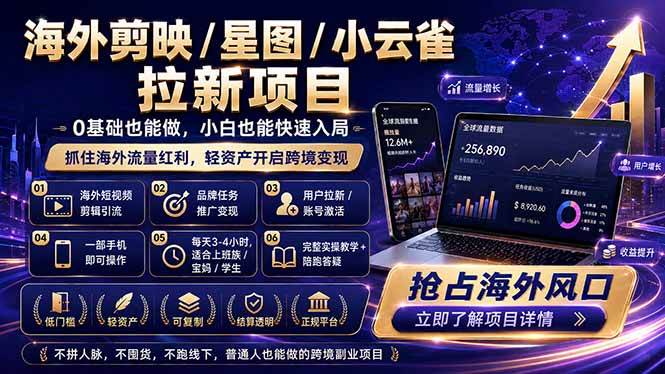 （18567期）海外剪映 / 星图 / 小云雀拉新项目 普通人也能上手的跨境流量变现副业-离锋创库