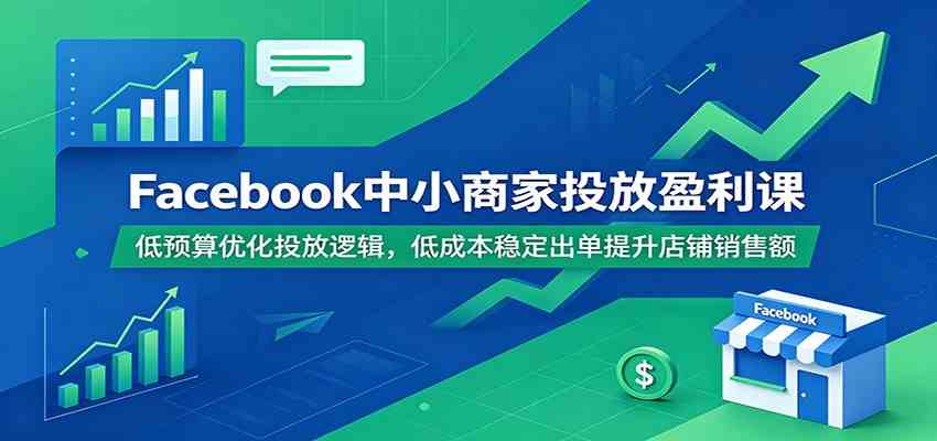 Facebook中小商家投放盈利课：低预算优化投放逻辑，低成本稳定出单提升店铺销售额-离锋创库