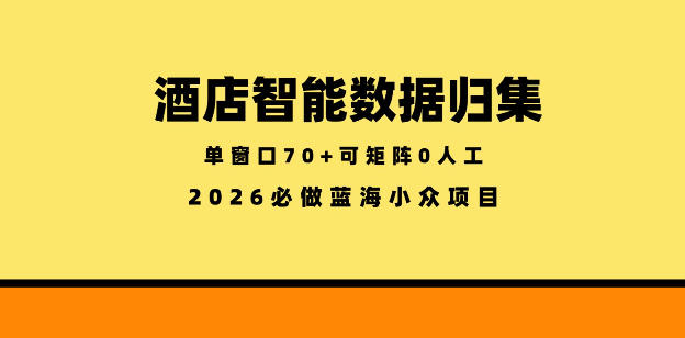 酒店智能数据归集,小众蓝海已经稳定半年之久,单窗口70+零成本矩阵开干【揭秘】-离锋创库